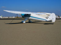 N28904 @ TCY - 1941 Luscombe 8A @ Tracy Municipal Airport, CA - by Steve Nation
