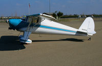 N28904 @ TCY - 1941 Luscombe 8A @ Tracy Municipal Airport, CA - by Steve Nation