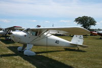 N25174 @ KOSH - Luscombe 8A - by Mark Pasqualino