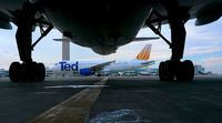 N442UA @ DEN - Ted A320 parked behind 757 on B39. - by Francisco Undiks