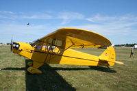 N49571 @ KOSH - Piper J3C-65 - by Mark Pasqualino