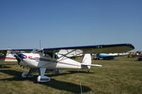 N71212 @ KOSH - Luscombe 8A - by Mark Pasqualino