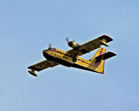 C-GFSL photo, click to enlarge