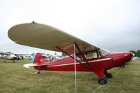 N98992 @ KOSH - Piper PA-12 - by Mark Pasqualino