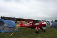 N71968 @ KOSH - Luscombe 8A - by Mark Pasqualino