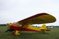 N95350 @ KOSH - Taylorcraft BC-12D - by Mark Pasqualino
