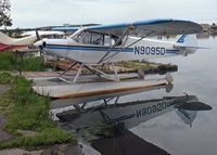 N9095D photo, click to enlarge
