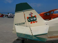 N3100M @ WVI - 1947 Piper PA-12 close-up Tigger Cub tail logo @ Watsonville, CA airshow - by Steve Nation
