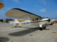 N36290 @ WVI - 1941 Taylorcraft BC12-D @ Watsonville, CA airshow - by Steve Nation