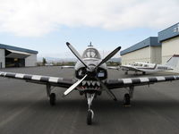 N111VN @ KLVK - N111VN Nose View - by Marshall Carter