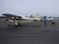 N7312D @ AWO - Tri-Pacer Owner and Dog - by Steve Evans