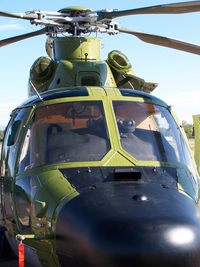 N365SH @ KBDU - AS365 Dauphin 2 Parked for display at Boulder's Open House. - by Bluedharma