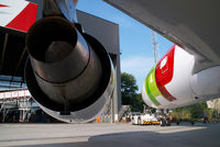 OE-LAN @ VIE - TAP Air Portugal Airbus 330-200 - by Yakfreak - VAP