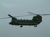 ZD984 photo, click to enlarge