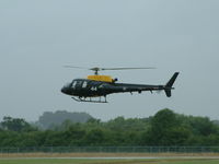 ZJ244 photo, click to enlarge