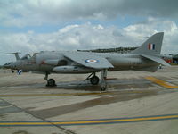 XP984 photo, click to enlarge