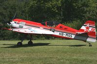 HB-MSS @ LSPD - Airshow 2007 Dittingen - by eap_spotter