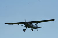 N1318K @ C77 - Luscombe 8A