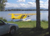 N7174A @ LHD - as NC7174A 1940 Piper J3F-65 CUB, Continental C90 90Hp upgrade from original Franklin 4AC-176B 65 Hp, a rara avis, Note: rod/gun case carried on struts - by Doug Robertson