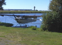 N3901M photo, click to enlarge