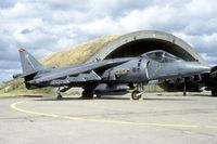 ZD409 @ ETME - This Harrier was on the last ever Open House at Eggebek.