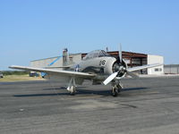 N5443U @ JWY - Trojan Phlyers Air Race & Airshow Team - by Zane Adams