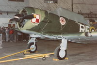 UNKNOWN @ YIP - T-6 in Polish air force colors