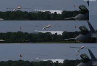 C-GJND @ LFI - Composite photo of the Manfred Radius inverted ribbon cut