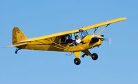 N33112 @ KLPC - At West Coast Piper Cub Fly-in Lompoc 2007