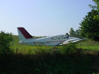N5064C - In a farmers field - by Polly Purebread