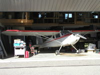N89559 @ KFBL - Parked inside the hangar. - by Mitch Sando