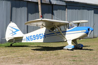 N5995H - After 50 Hrs - by Bob Williams