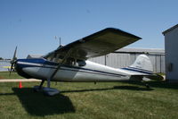 N1241D @ RPJ - Cessna 170A - by Mark Pasqualino