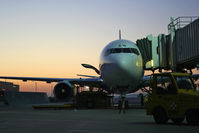 OE-LAW @ LOWW - sunrise @ VIE - by Wolfgang Kronfuss