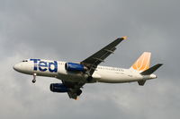 N451UA @ TPA - Ted - by Florida Metal