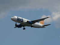 N491UA @ TPA - Ted - by Florida Metal