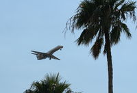 N836MJ @ TPA - Delta Connection