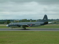 300 photo, click to enlarge