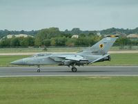 ZE294 @ FFD - Royal International Air Tattoo 2004 - by Steve Staunton