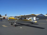 N8157A @ SZP - 1952 Cessna 170B, Continental C-145-2 145 Hp - by Doug Robertson