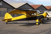 N43300 @ SZP - 1946 Taylorcraft BC-12D NC43300 parked on the ramp at Santa Paula. - by Dean Heald