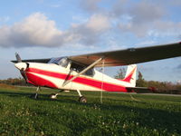 N7258A @ BQR - Temporary parking in the weeds