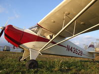 N43529 @ BQR - Temporary storage, waitin' on the promised new hangars