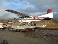 N53032 @ PABE - time to change into winter plumage - by Martin Prince, Jr