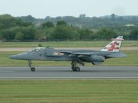 XZ103 @ FFD - Royal International Air Tattoo 2005 - by Steve Staunton
