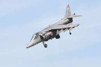 ZD431 photo, click to enlarge ZD431 photo, click to enlarge