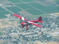 N2493K - Out to Lunch - by Terri Curtis