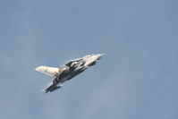 ZD707 photo, click to enlarge