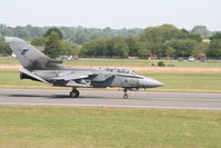 ZD707 photo, click to enlarge