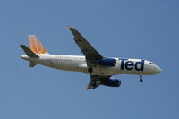 N442UA @ TPA - Ted - by Florida Metal